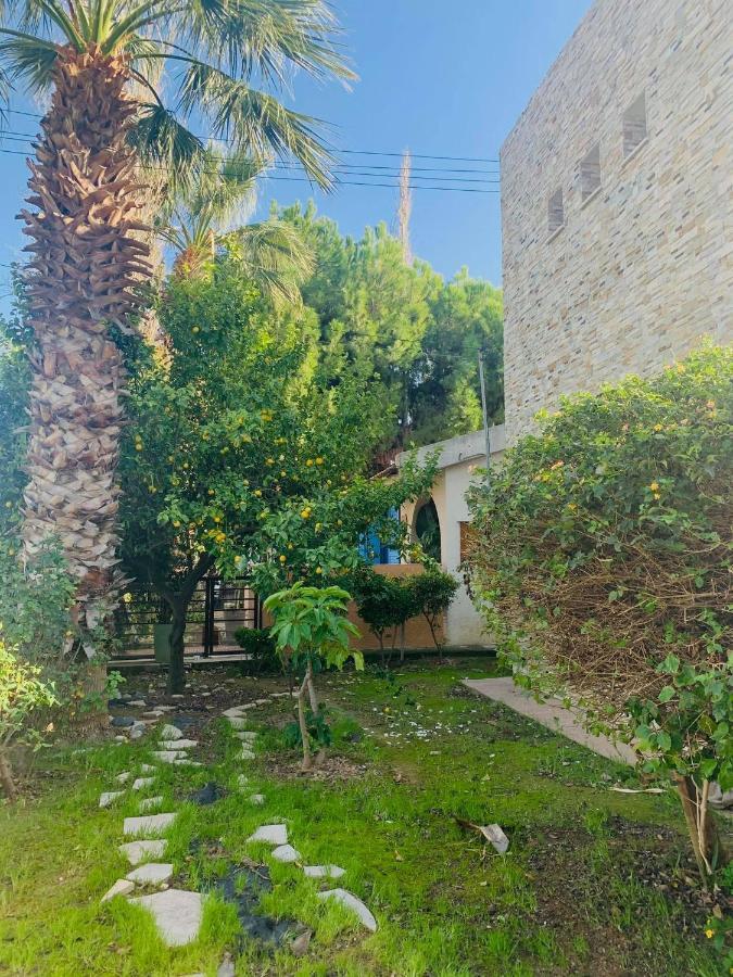 The Stone * Pissouri