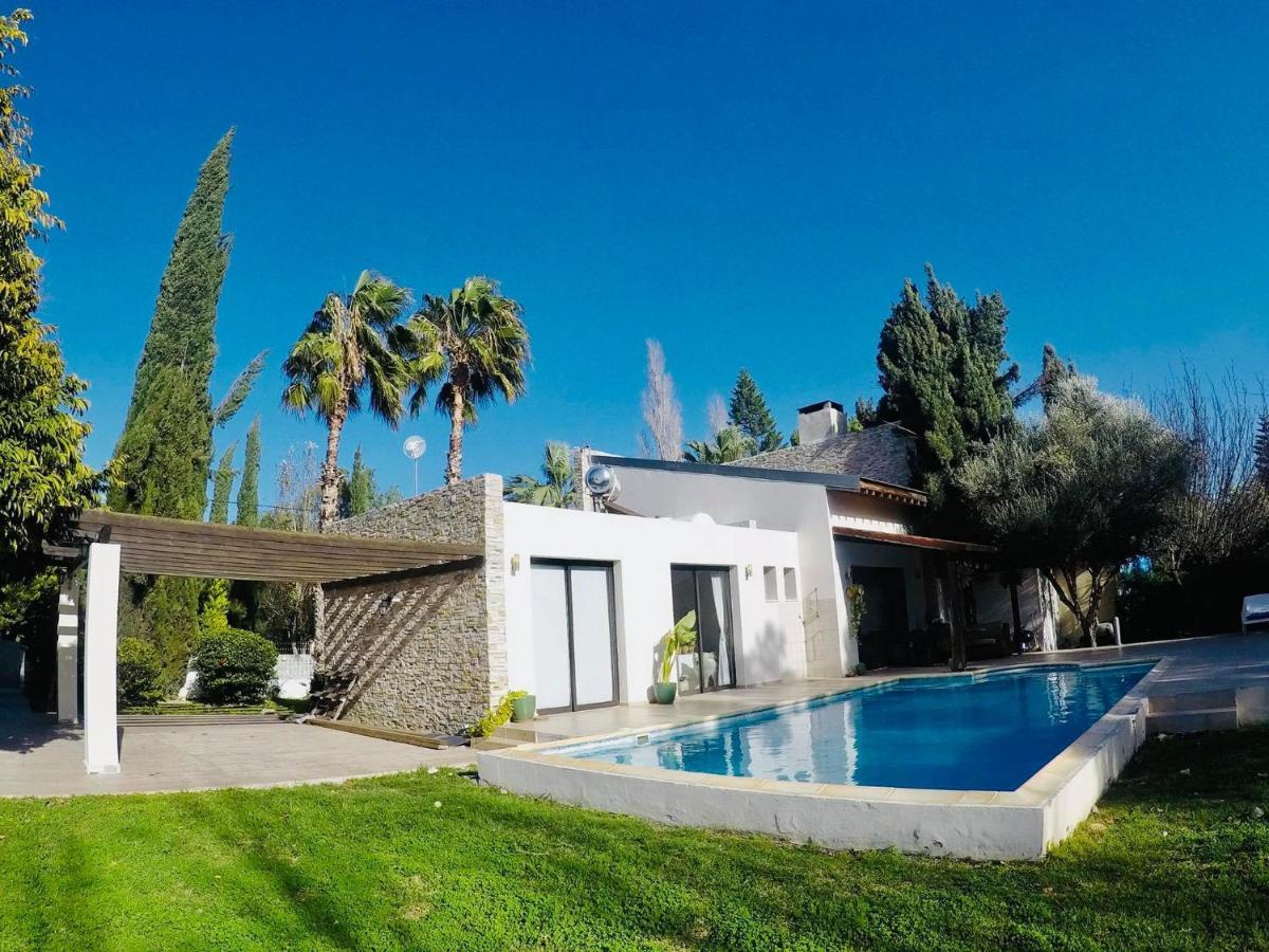 The Stone * Pissouri